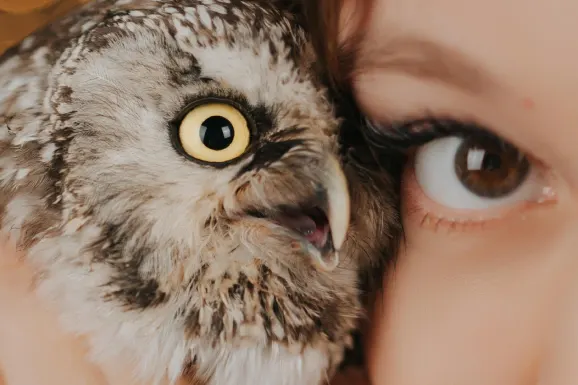 Betitall Casino Ënnerstëtzung